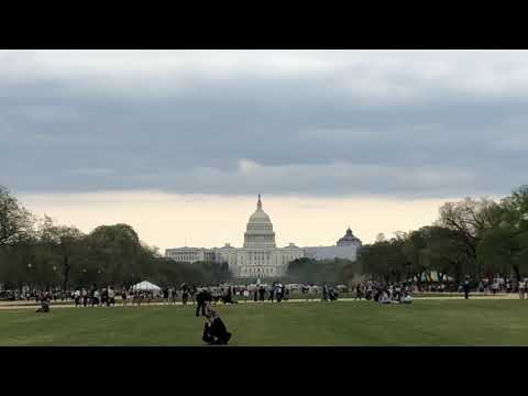 Batyr Ode - Nowruz Salamy (Turkmen Dutar in Washington DC) Capitol Hill 2019