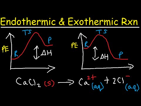Endothermic and Exothermic Reactions