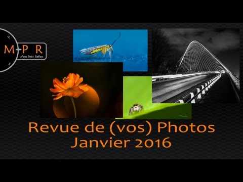 Revue de (vos) photos - Janvier 2016