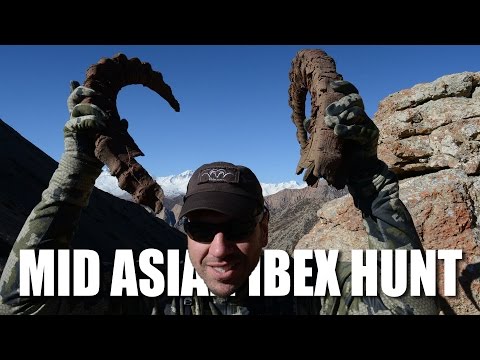 Mid Asian Ibex Hunt Mid Asian Ibex Hunt