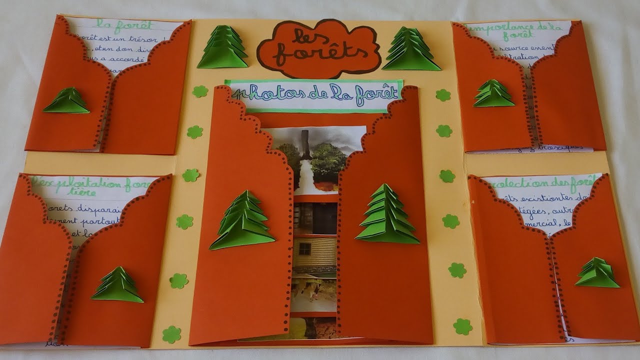 #مشروع_الوحدة_الخامسة_المستوى_الرابع_الغابات projet de classe les forêts