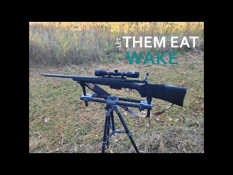 Cheap but is it worth it? Stevens by Savage 555 12 Gauge O/U Shotgun Review