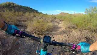 Fun little side trail to T100, this is Rocky Ridge North heading east towards Cave Creek Rd.