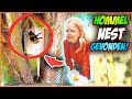 ONS PROJECT WORDT VERSTOORT DOOR EEN HOMMELNEST iN BOOMHUT ? | Bellinga Vlog #2816