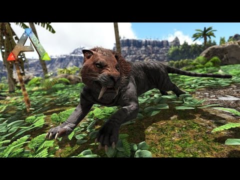 Domando o DENTE DE SABRE para a BATALHA  SEMANAL -  ARK LOST ISLAND
