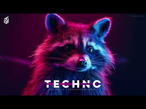 TECHNO ● Raffaella Carrà - Pedro (Jaxomy & Agatino Romero Remix) TikTok  Song