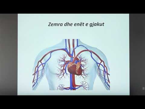 7 06 017 - Java e nëntë - Biologji - sistemi i qarkullimit të gjakut