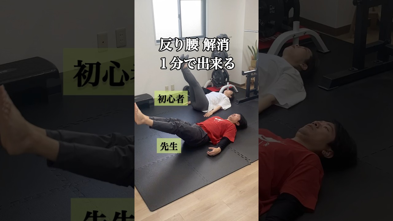 【反り腰】お腹に効く / このトレーニングで解消　#姿勢改善 #お腹痩せ #反り腰改善 #shorts