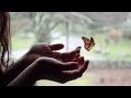 Ludwig van Beethoven -- Melody of Love ...