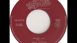 Steve Tilston - Falling