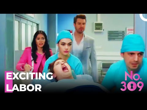 Filiz's Birth Breaks The Ice - No.309