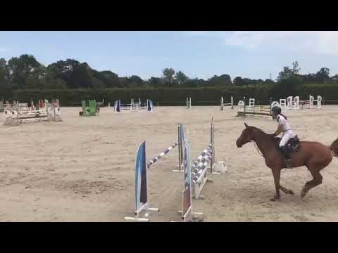 FAIR PLAY SEMILLY (Diamant de Semilly x Galoubet A) 5 ans / 5 YO