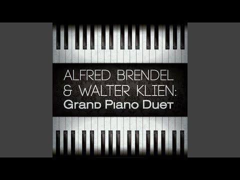 Slavonic Dances, Op. 46, Piano for 4 Hands: No. 3 in D Major - Sousedská