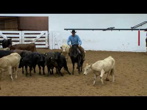 Heysa Royalena - Herd