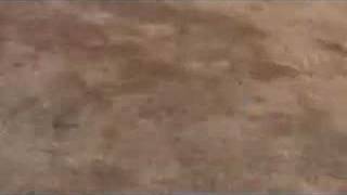 100609 Mt Diablo paragliding over developed