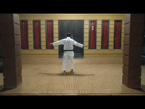 [Ryuei Ryu Style] NISEISHI