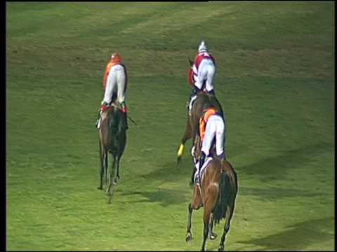 Galoppo 13/08/2016 - 6° corsa