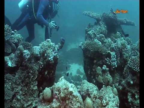 Korallenlandschaften auf den Malediven