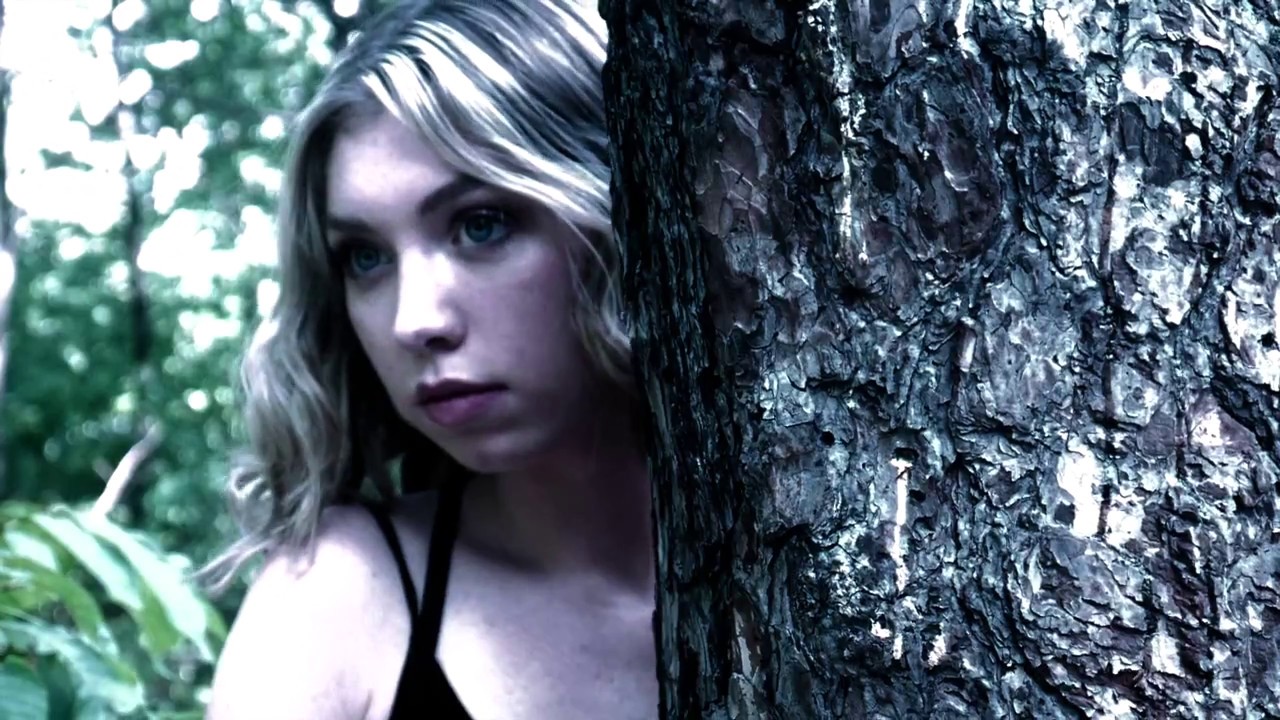 NORTH WOODS  | Official Trailer #2 (2016)