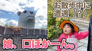 お散歩で口ぽかーん　一体何があったのか？
