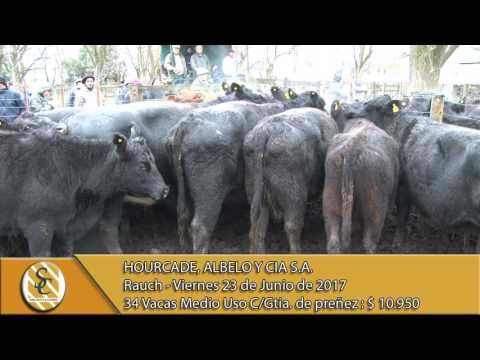 23-06-17 Venta de Vientres - Hourcade, Albelo y Cía. S.A. - Rauch