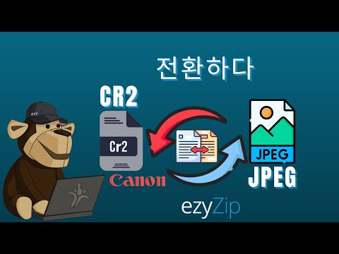 캐논 CR2를 몇 초 만에 JPEG로 변환하는 방법!