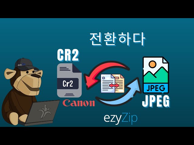 캐논 CR2를 몇 초 만에 JPEG로 변환하는 방법!