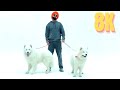 Teri Jatti Ammy Virk Full Video Hindi Punjabi Songs In 8K 4K Ultra HD 60 FPS