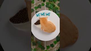 Download lagu Wiwiwi Cat Cake🗣️ #cat #meme #cake #shorts mp3