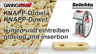 Video about Dowel inserting machines Gannomat Selecta