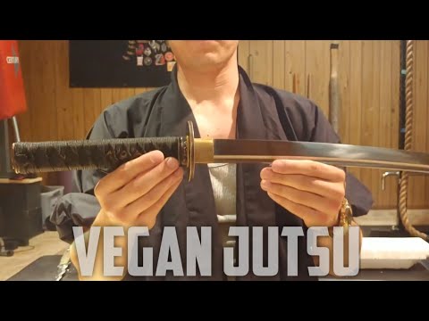 Yongli Wakizashi T10 The Best $100 Samurai Sword?