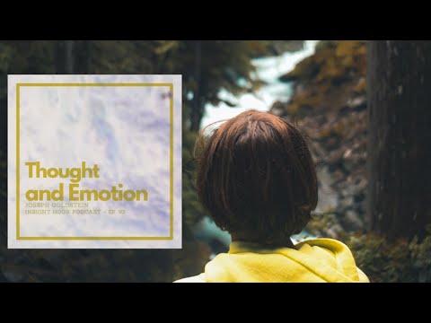 Joseph Goldstein – Insight Hour – Ep. 93 – Thought and Emotion
