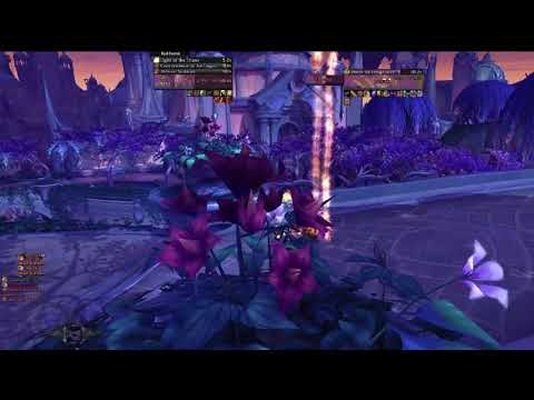 Prot Pally(me) vs. Ret Pally