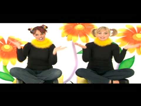 HOY LARI MUSIC VIDEO