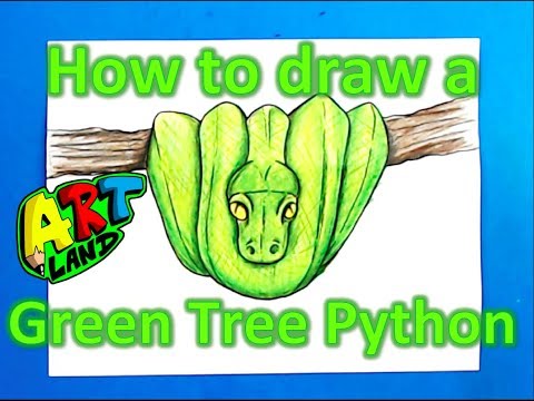 How to draw a Green Tree Python