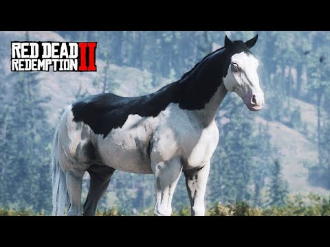 THE HORSE TAMER - I found a VALUABLE HORSE - Red Dead Redemption 2 - 11