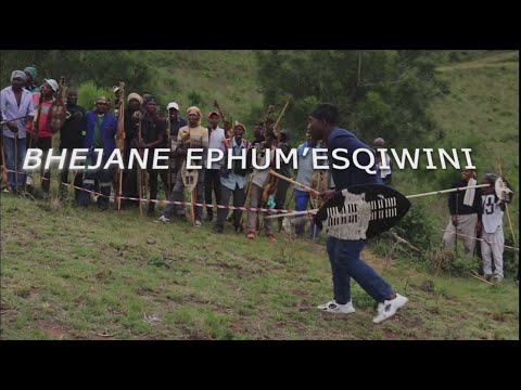 BHEJANE VS GULUKUDU - umgangela "zulu stickfighting" kwashiyampahla 23/09 /2022