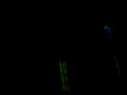 Living-Dj Pippi 21/02/09