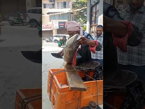 fish cutting big fish cutting amazing #beats #tranding #food #foodie #streetfood #viralvideo #music