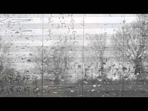 Symphony Exaticazis / II : Pluviôse / Bernard Salles