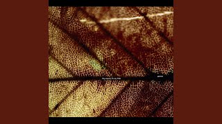 Invisible night～murderer