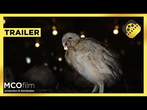 afbeelding Food for Profit