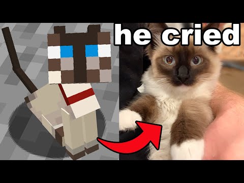 I Gave My Brother His Minecraft Cat in Real Life
