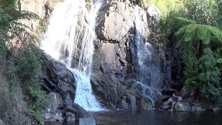 preview picture of video 'Steavenson Falls & Summit - A Brief Visual Tour (Marysville, Victoria, Australia)'