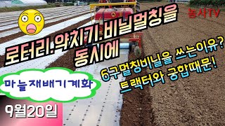마늘재배, 마늘멀칭 피복기로 마늘 멀칭 작업하기 [농사TV]