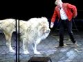 Ringling Male Lion In Show Tallahassee FL 2010