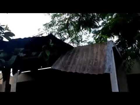 LOSMIKEYMOUSE13 FT ODC DESDE ORILLA DEL CERRO