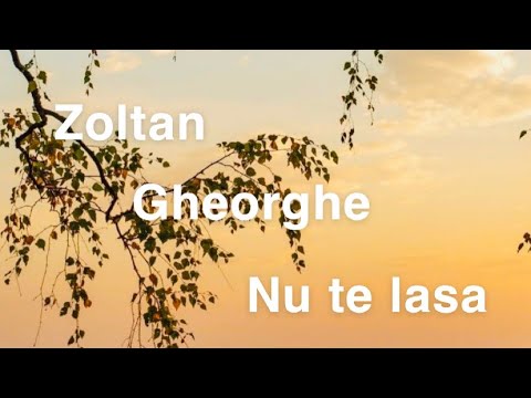 Zoltan Gheorghe ~ Nu te lasa (cântare noua)