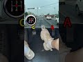 Come With Me To Learn Manual Transmission Car Gears And Footwork Operations