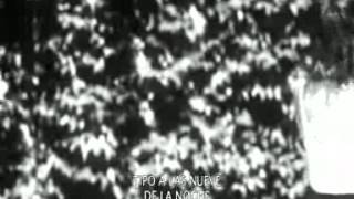 DICE LO QUE SIENTE! MIRANDA! VIDEO OFICIAL!!!!!!